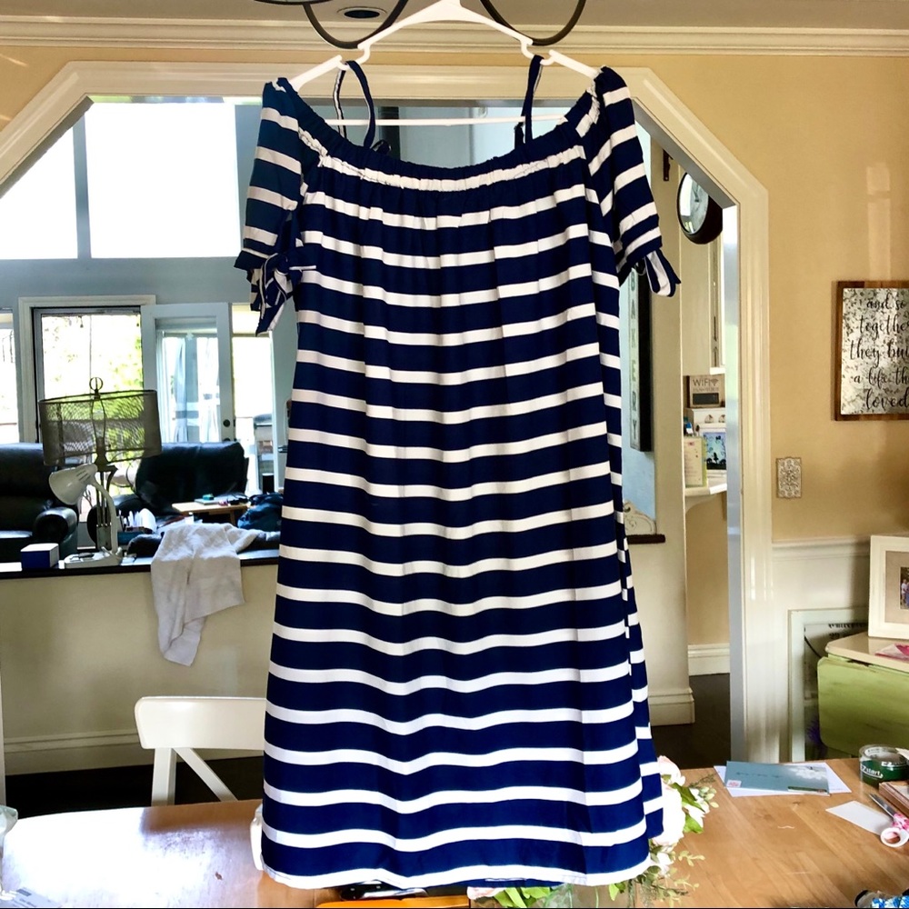 NWT Alisha and Chloe stripe dress